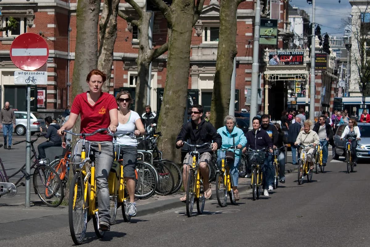 Amsterdam Bike Tour Guide: 6 Best Ways to Cycle the Netherlands