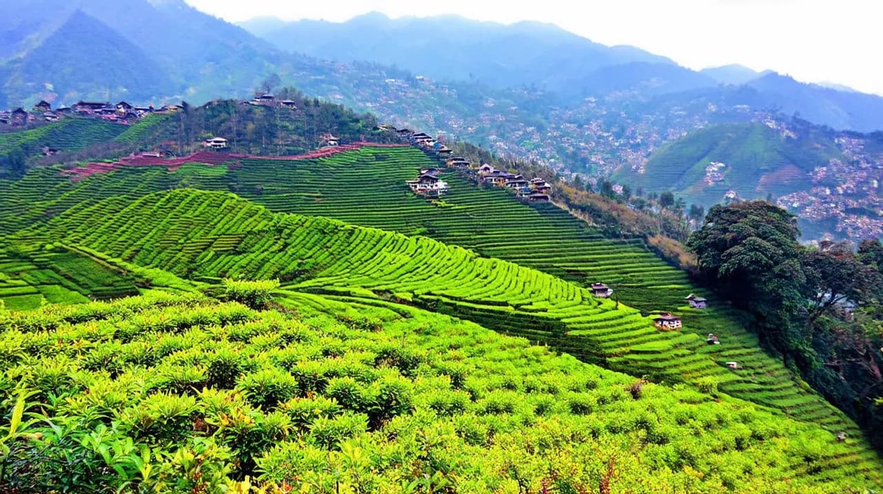 Darjeeling Highlights: 10 Must-See Attractions