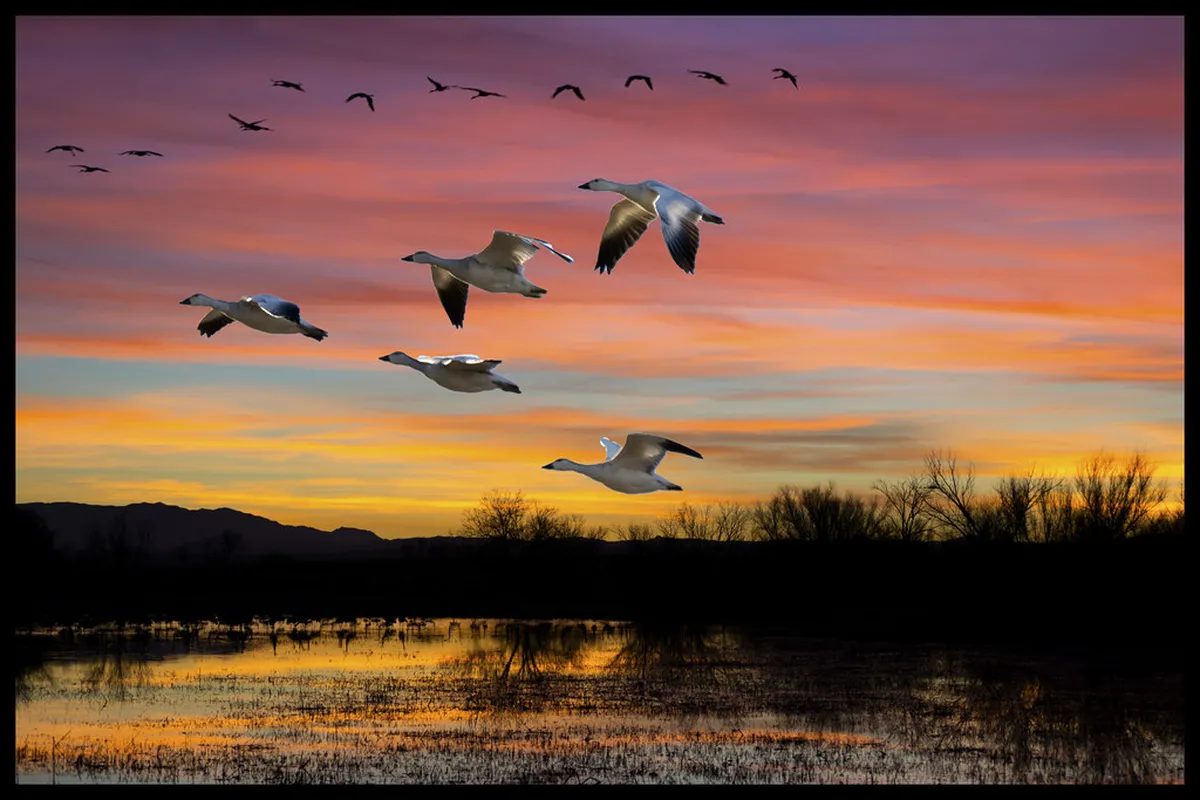 Does It Snow in Albuquerque? 6 Things to Know About Winter