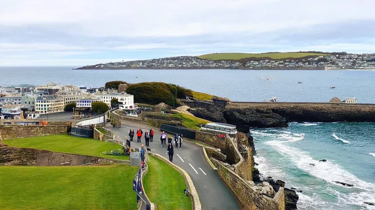 Dunedin Experiences: 10 Unique Adventures to Try