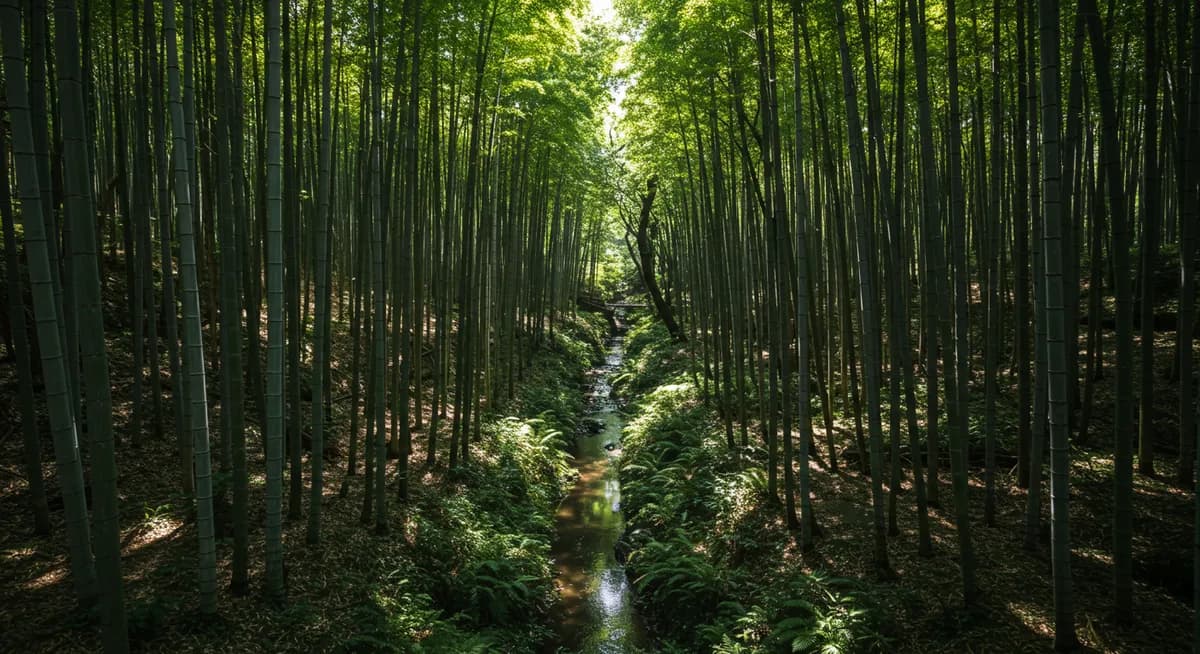 Unearthing Hidden Adventure Spots Near Hiroshima City