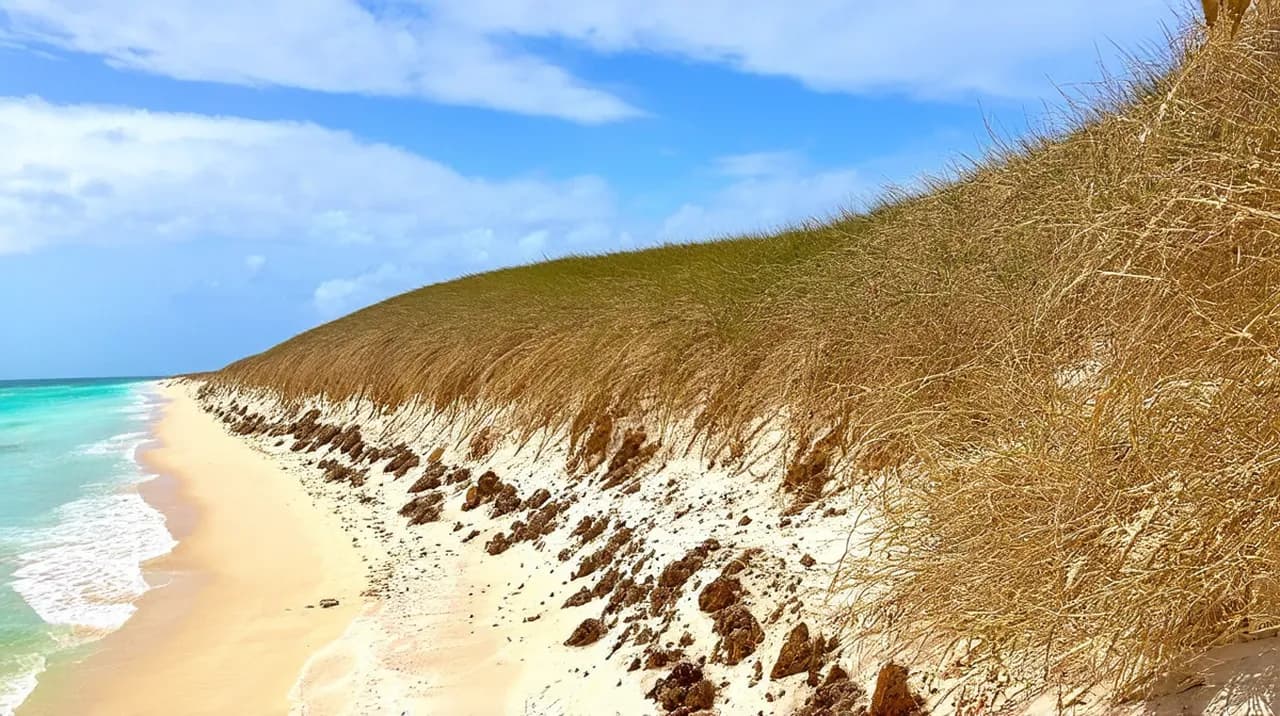 Jericoacoara Landmarks: Top 10 Must-See Attractions
