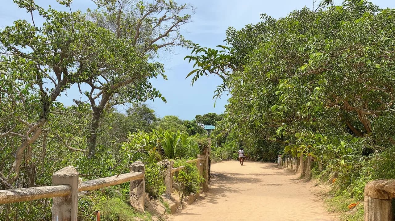 Kilifi Landmarks: Explore 10 Unforgettable Sights