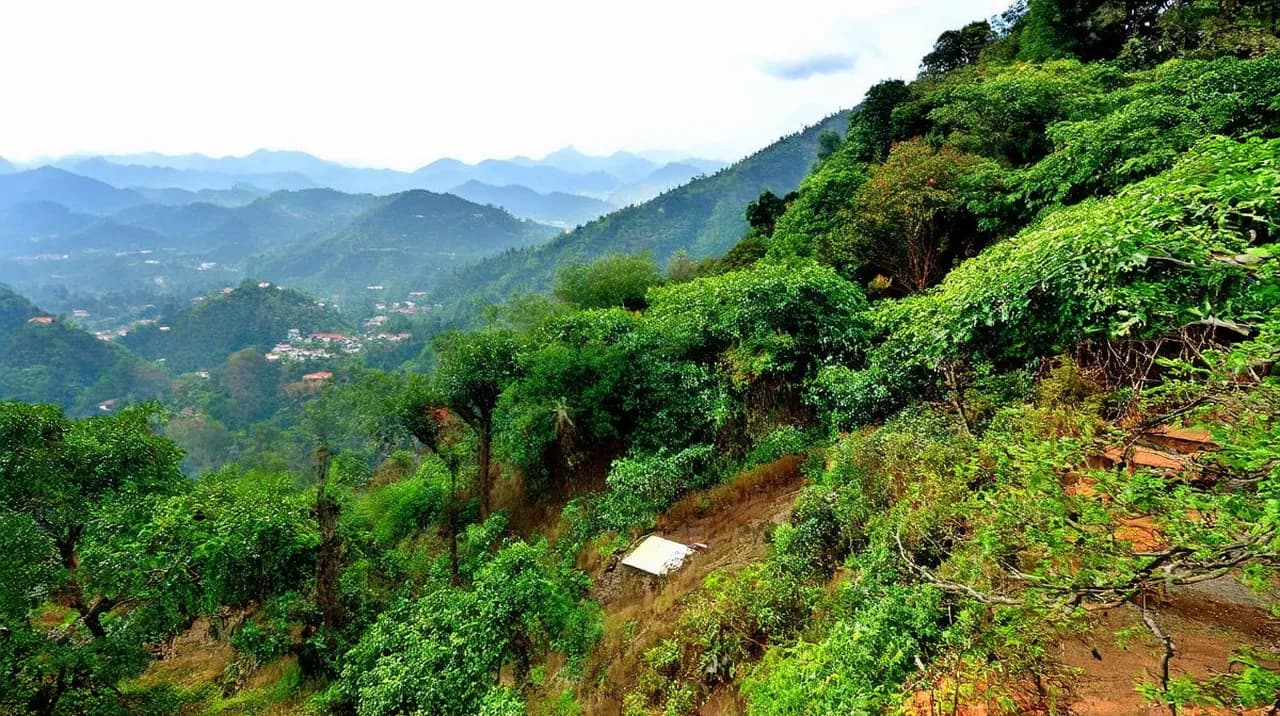 Kodaikanal (Kodai) Experiences: Unforgettable Adventures Await