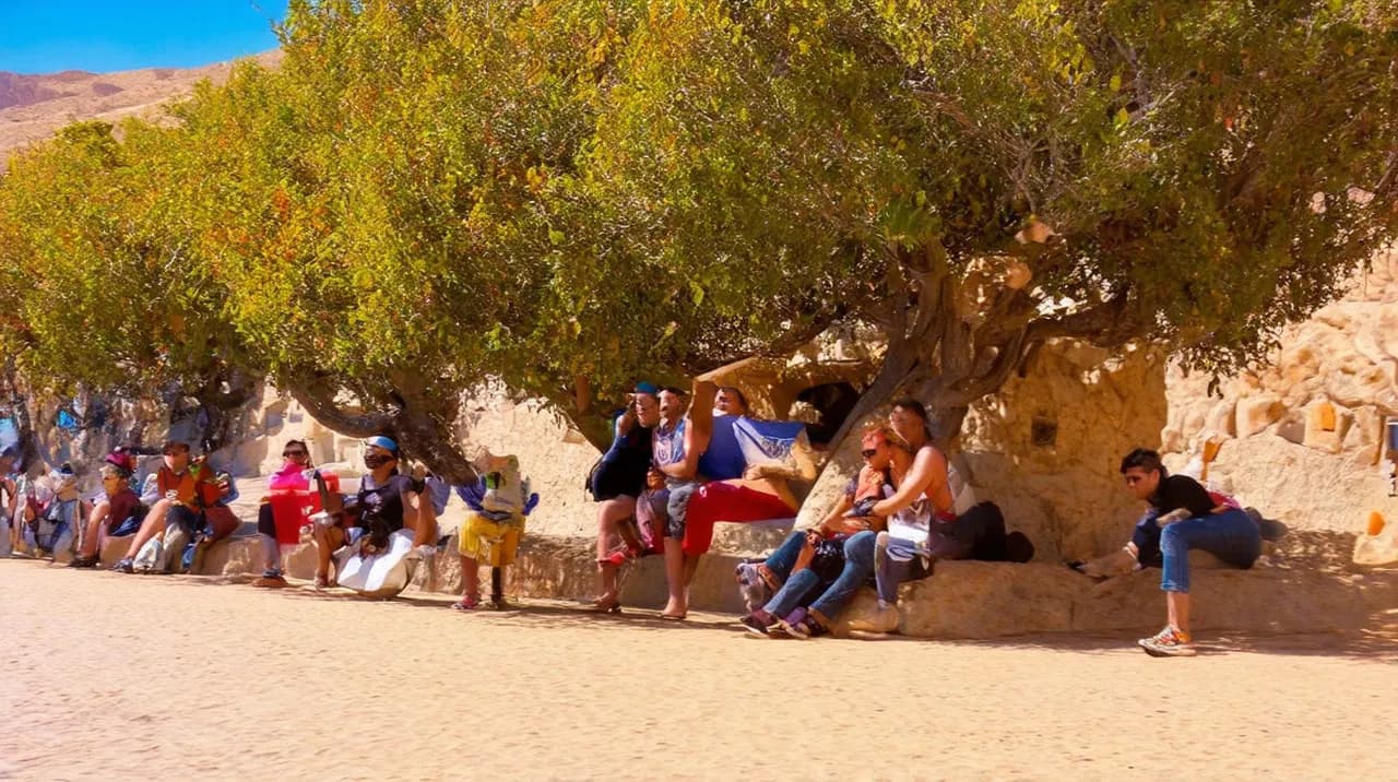 La Paz Experiences: Top 10 Unforgettable Adventures