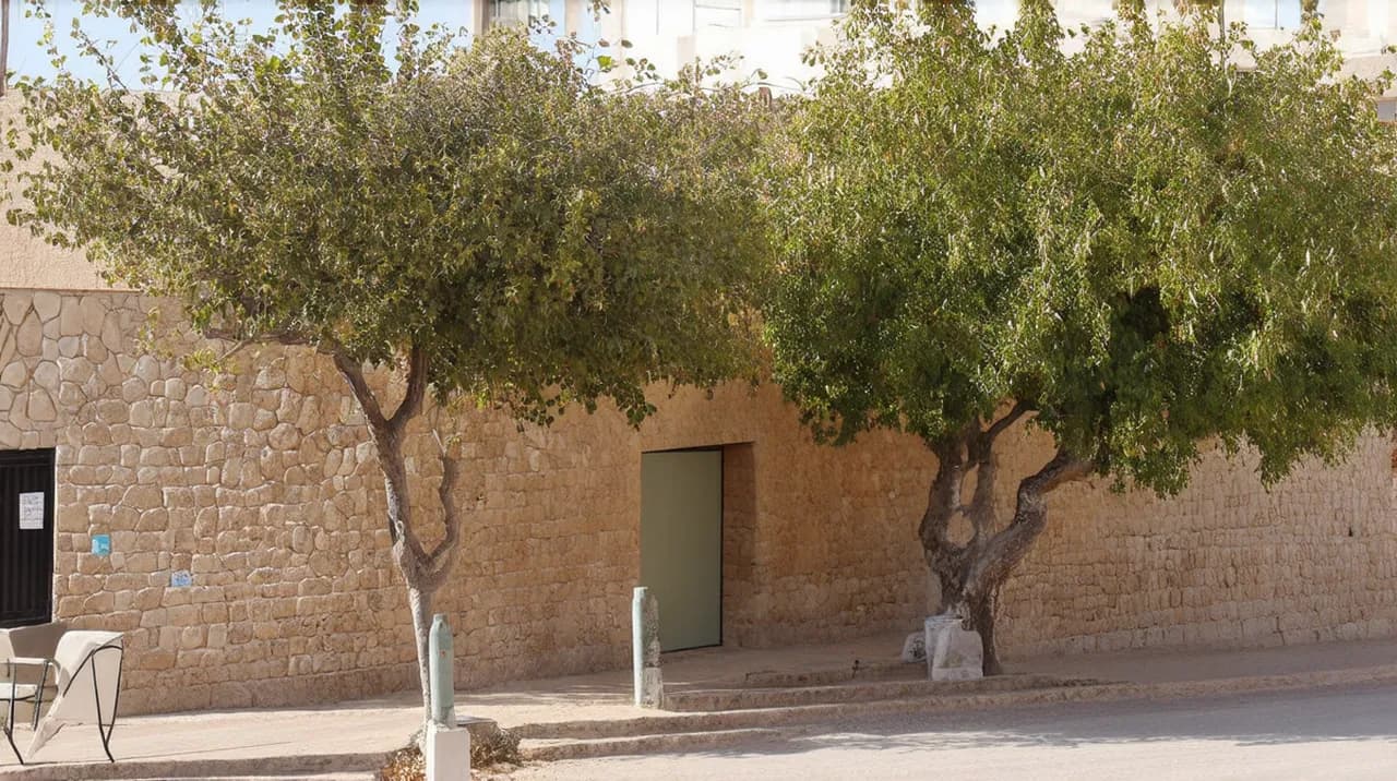 North Nicosia (Lefkoşa) Culture: 10 Unique Experiences