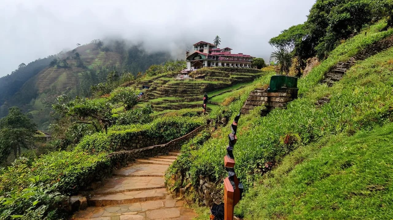 Nuwara Eliya Adventures: Your Guide to Fun Activities