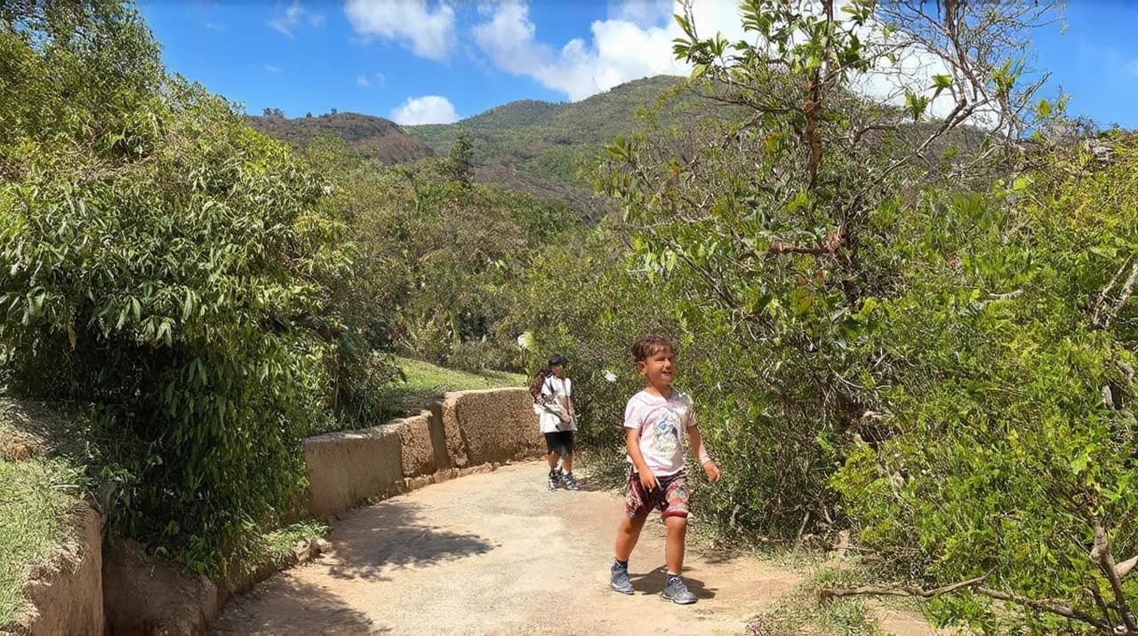 Peso da Régua Activities: Top 10 Things to Do