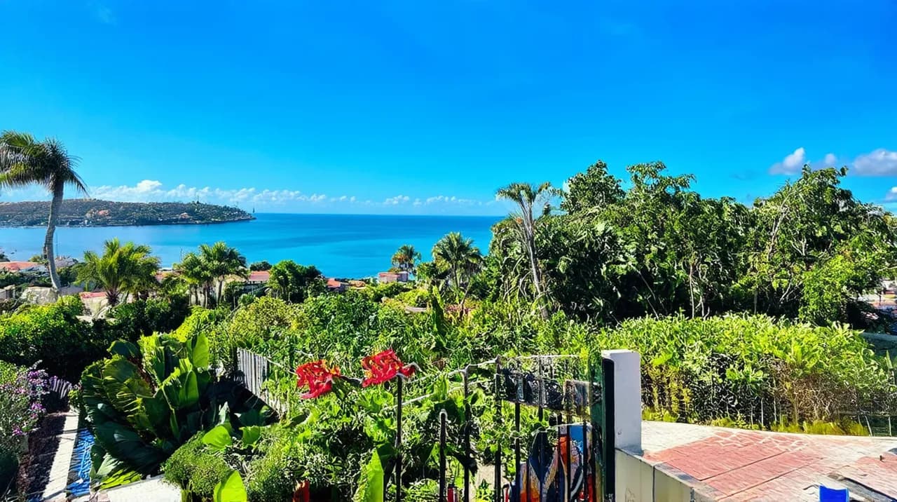 Ponce Adventures: 10 Exciting Activities to Experience