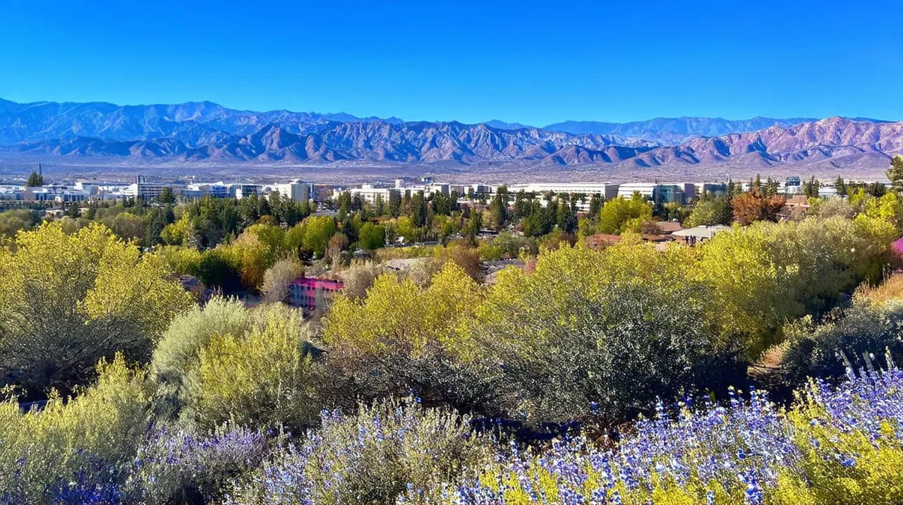 Reno Experiences: 10 Unmissable Adventures in the Biggest Little City