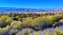 Reno Experiences: 10 Unmissable Adventures in the Biggest Little City