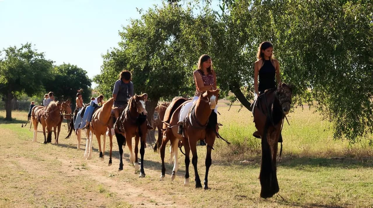 San Antonio de Areco Highlights: A Complete Travel Guide