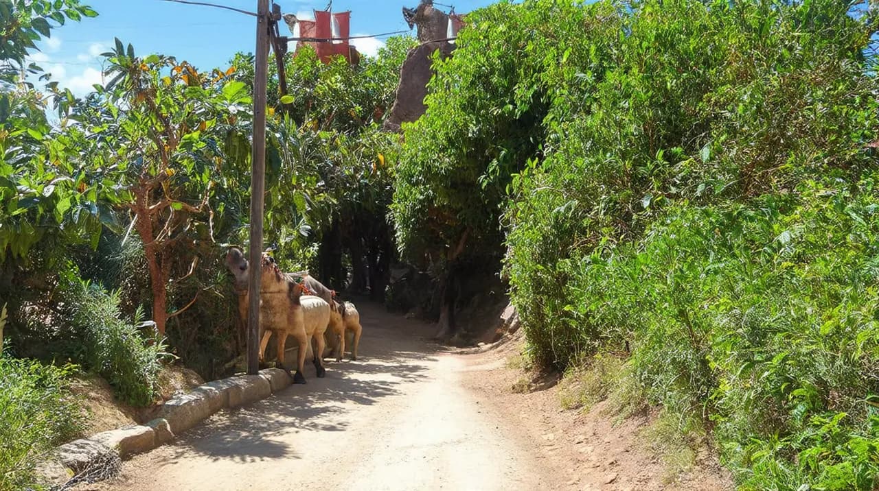 San Patricio-Melaque Adventures: A Guide to Exciting Experiences