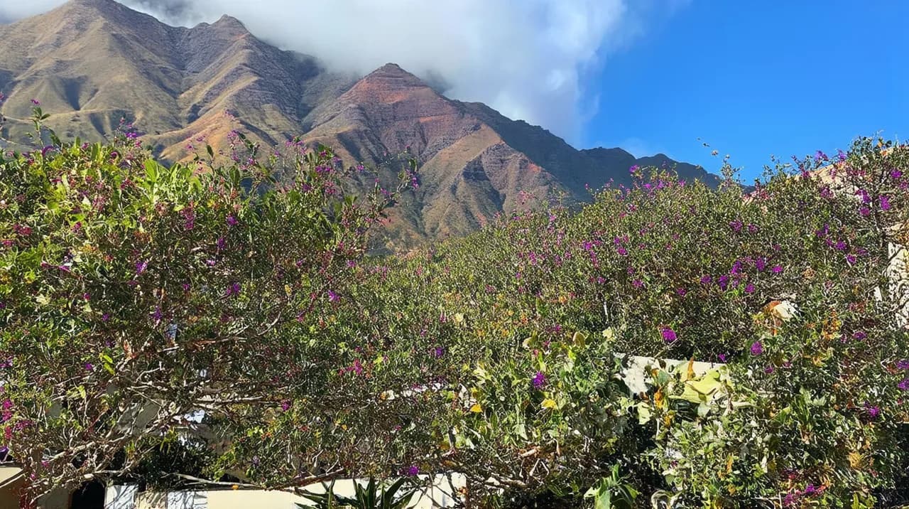 Santa Cruz de la Palma Experiences: Explore Unique Adventures