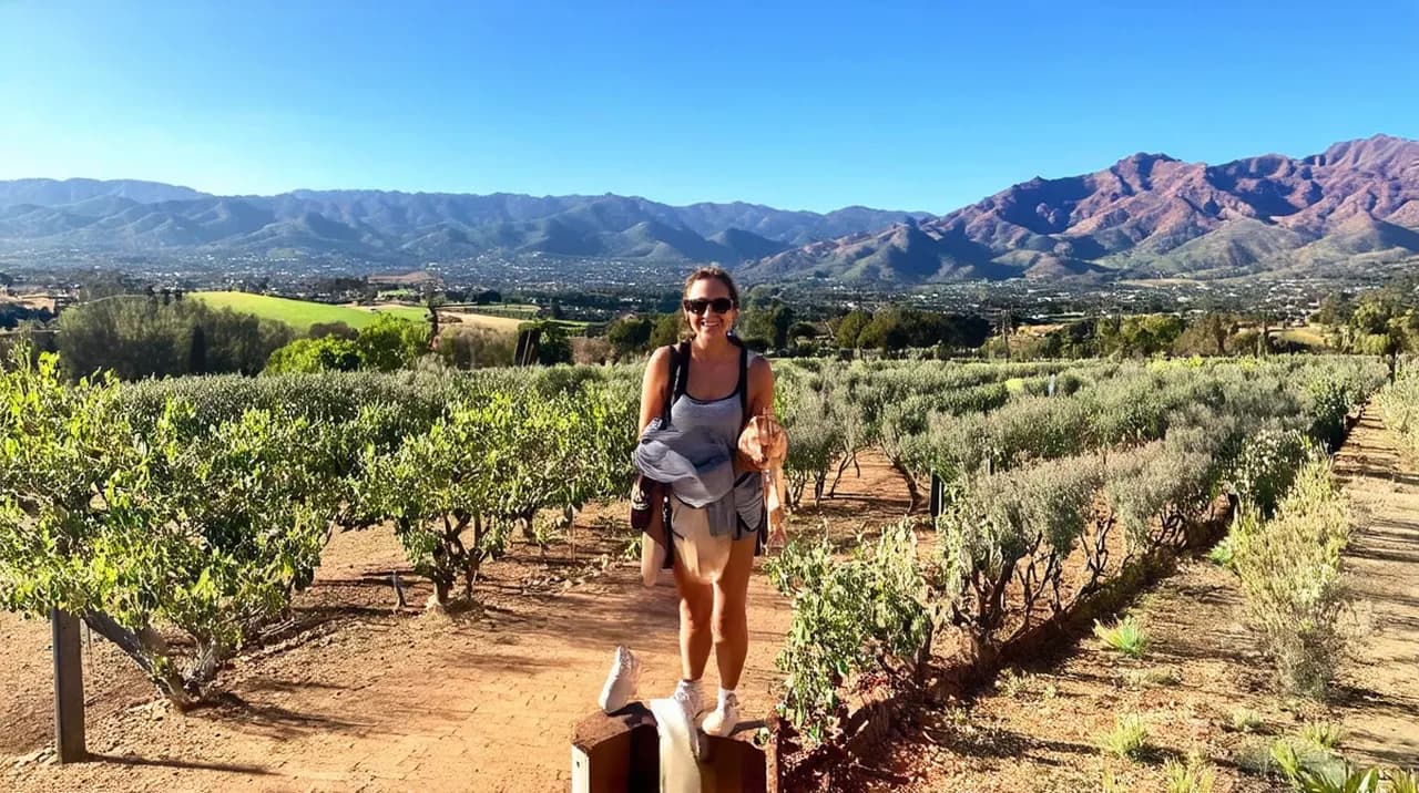 Stellenbosch Adventures: Top 10 Unforgettable Experiences
