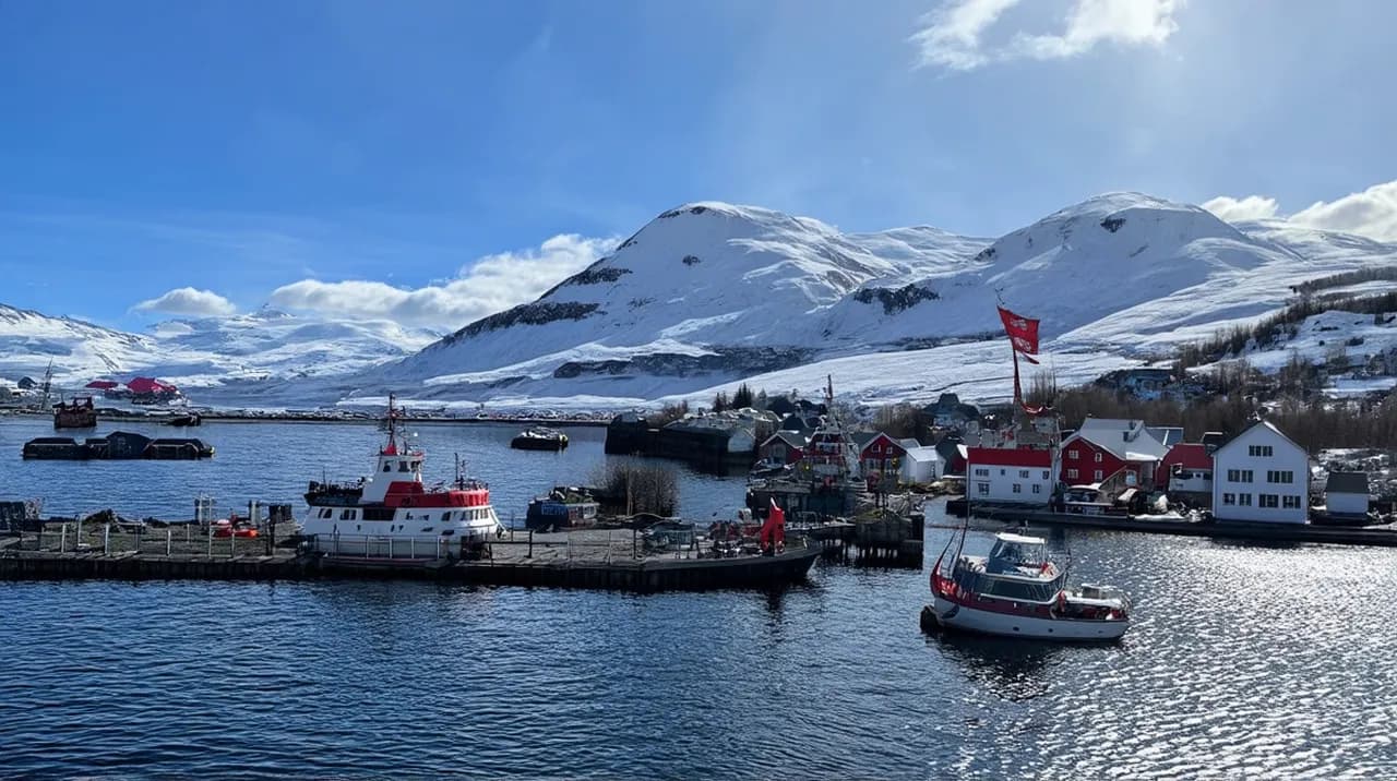 Tromsø Adventures: Discover the Arctic Wonders