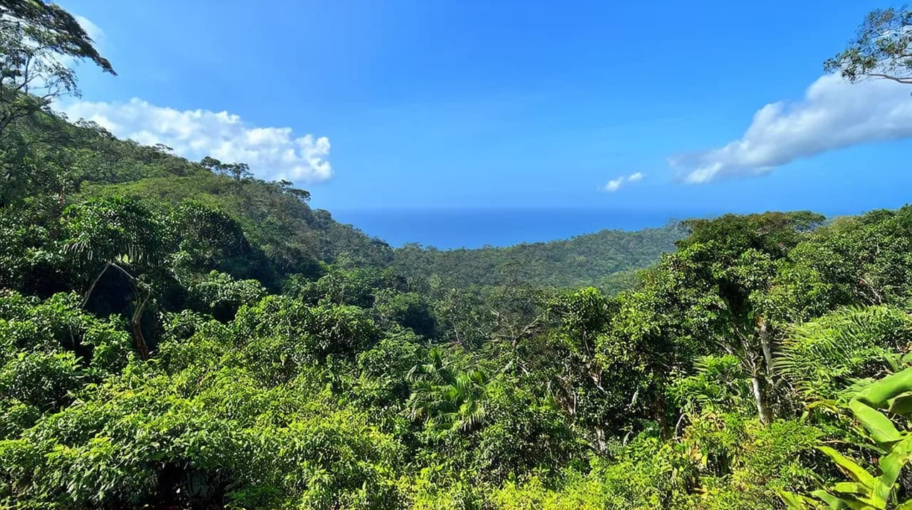 Uvita Highlights: Exploring Costa Rica’s Hidden Gems