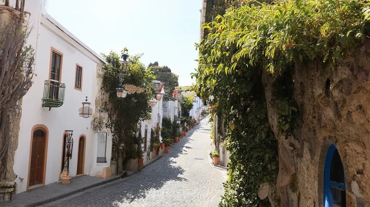 Viana do Castelo Experiences: Explore 10 Must-See Attractions