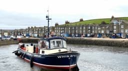 Whitby Experiences: 10 Unmissable Moments in This Charming Town