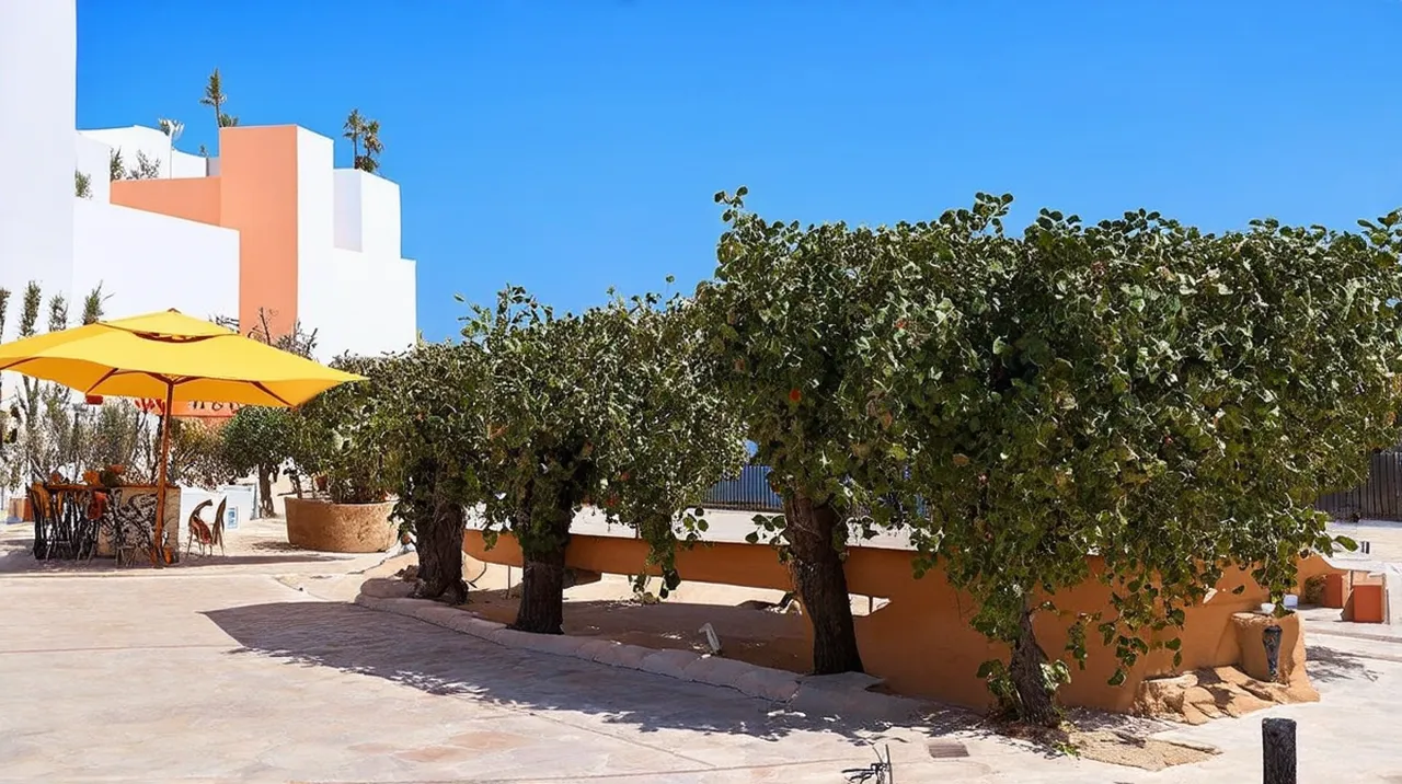 Agia Napa Culture: Explore 12 Unforgettable Experiences