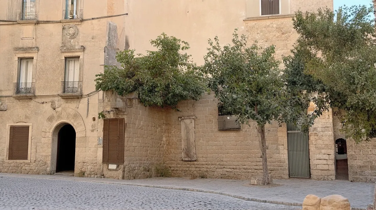 Arles Activities: 10 Unique Things to Do