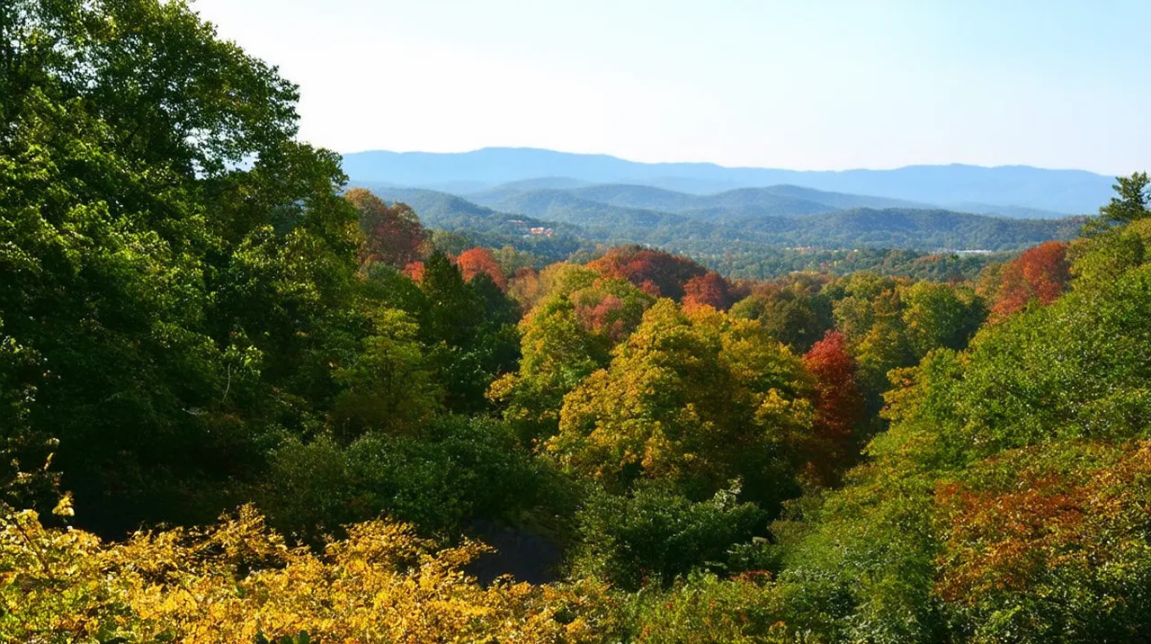 Asheville Highlights: 10 Unmissable Attractions in NC