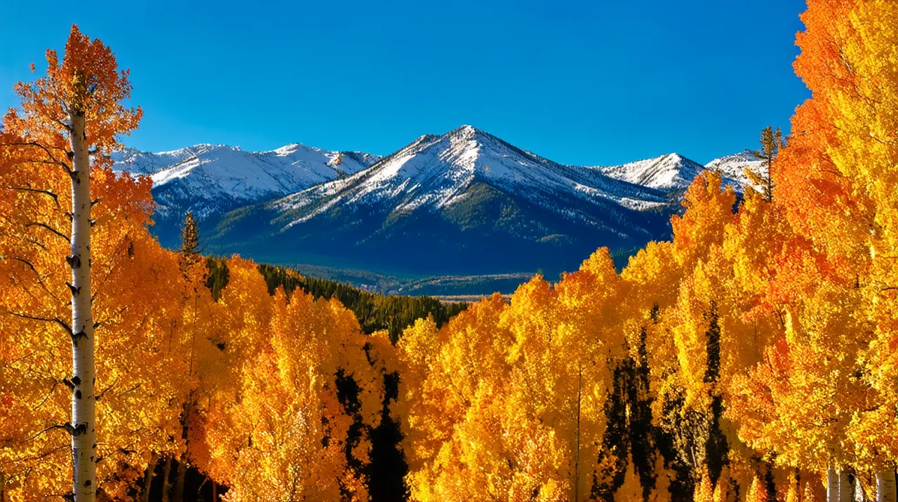 Aspen Culture: Top 10 Experiences for Every Traveler