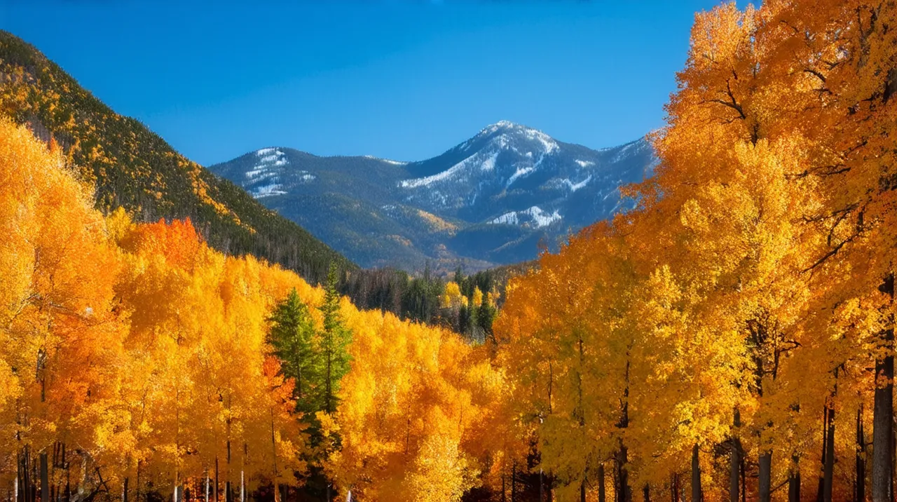 Aspen Highlights: 10 Can&#8217;t-Miss Experiences in Aspen