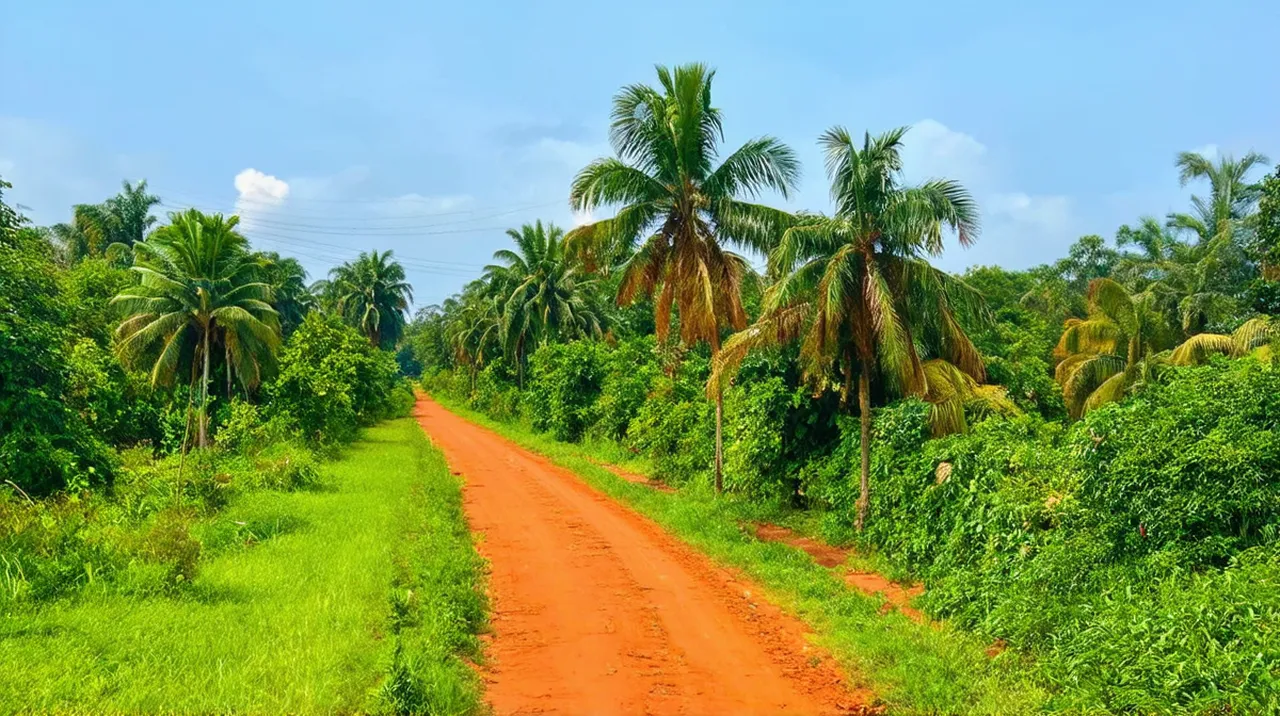 Brazzaville Experiences: Top 10 Unforgettable Adventures
