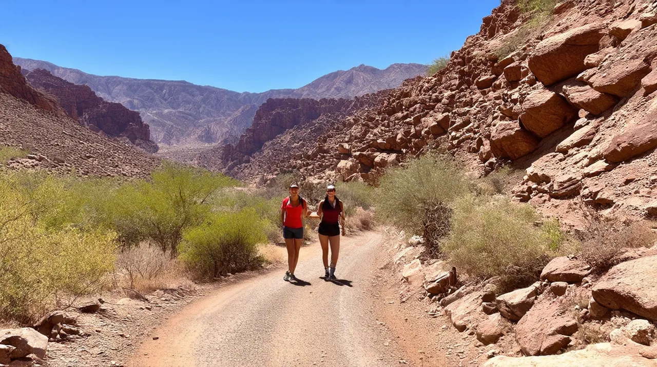 Cafayate Experiences: Top 10 Unique Adventures