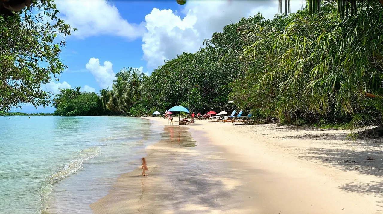 Cahuita Activities: Top 10 Adventures to Experience
