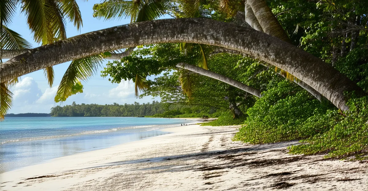 Cahuita Itinerary: Explore Nature & Culture