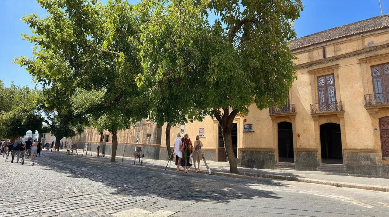 Coimbra Culture: Discover 10 Unique Experiences