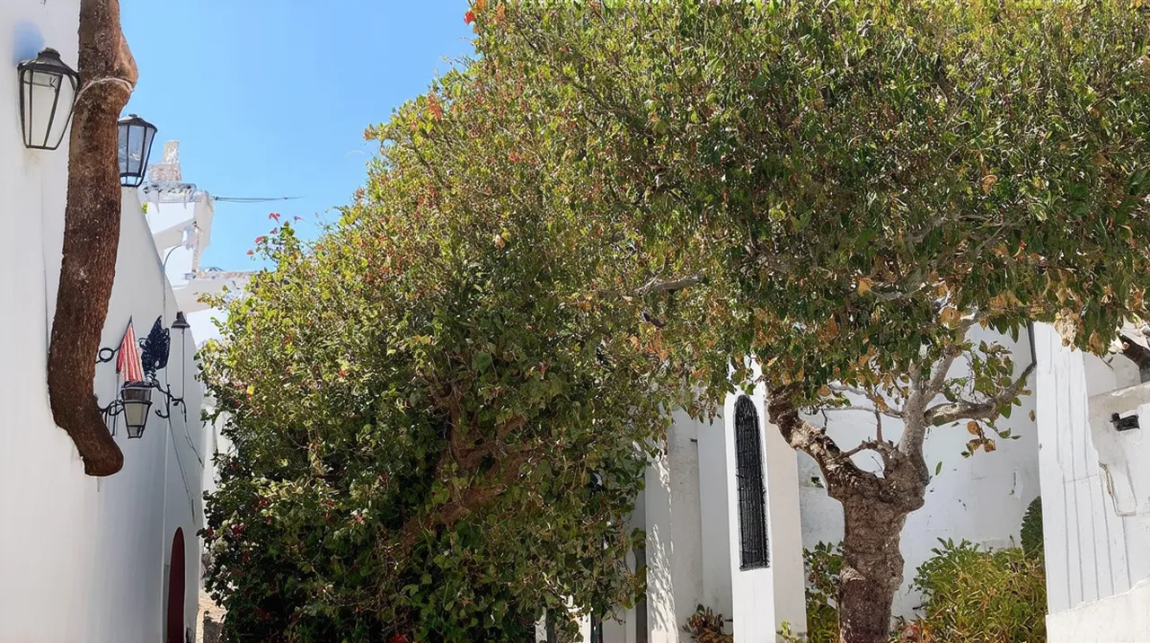 Colonia del Sacramento Activities: Top 10 Things to Do