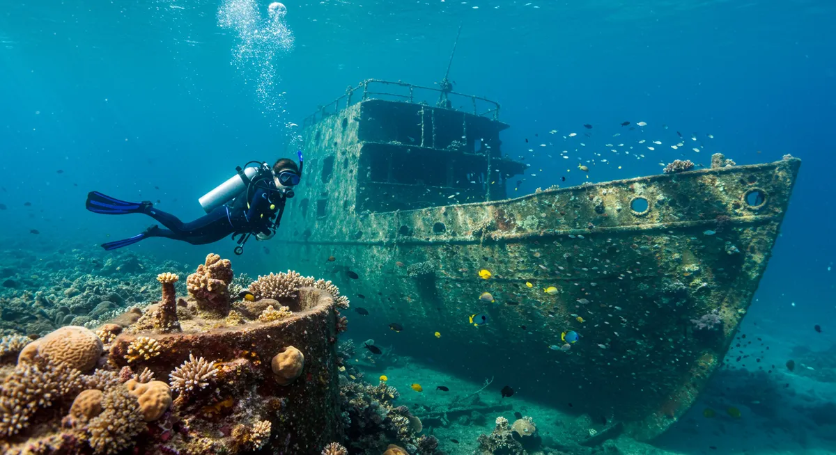 Coron Town Shipwreck Diving Beginner Guide 2025