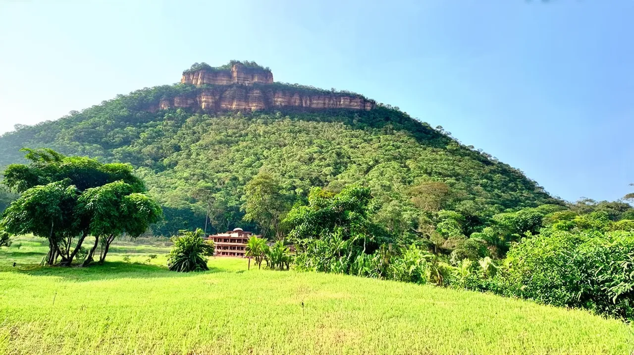 Dambulla Activities: Explore 10 Unmissable Experiences