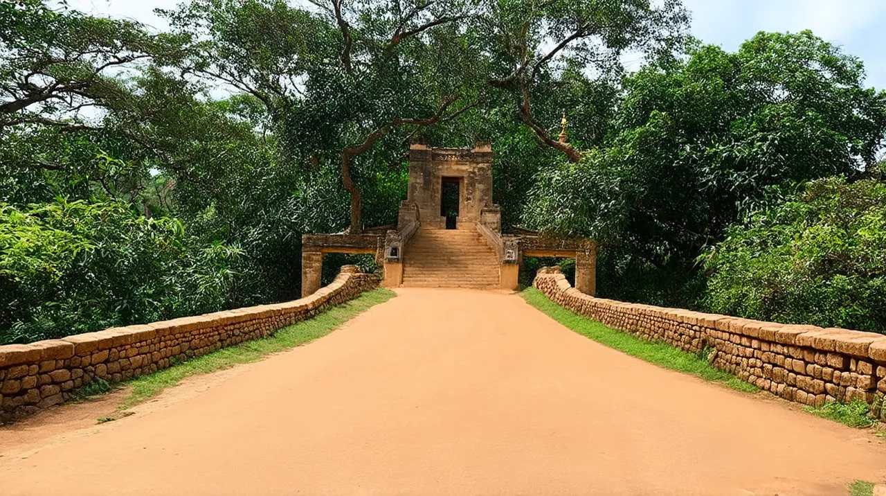 Dambulla Experiences: Unearth the Wonders of Sri Lanka