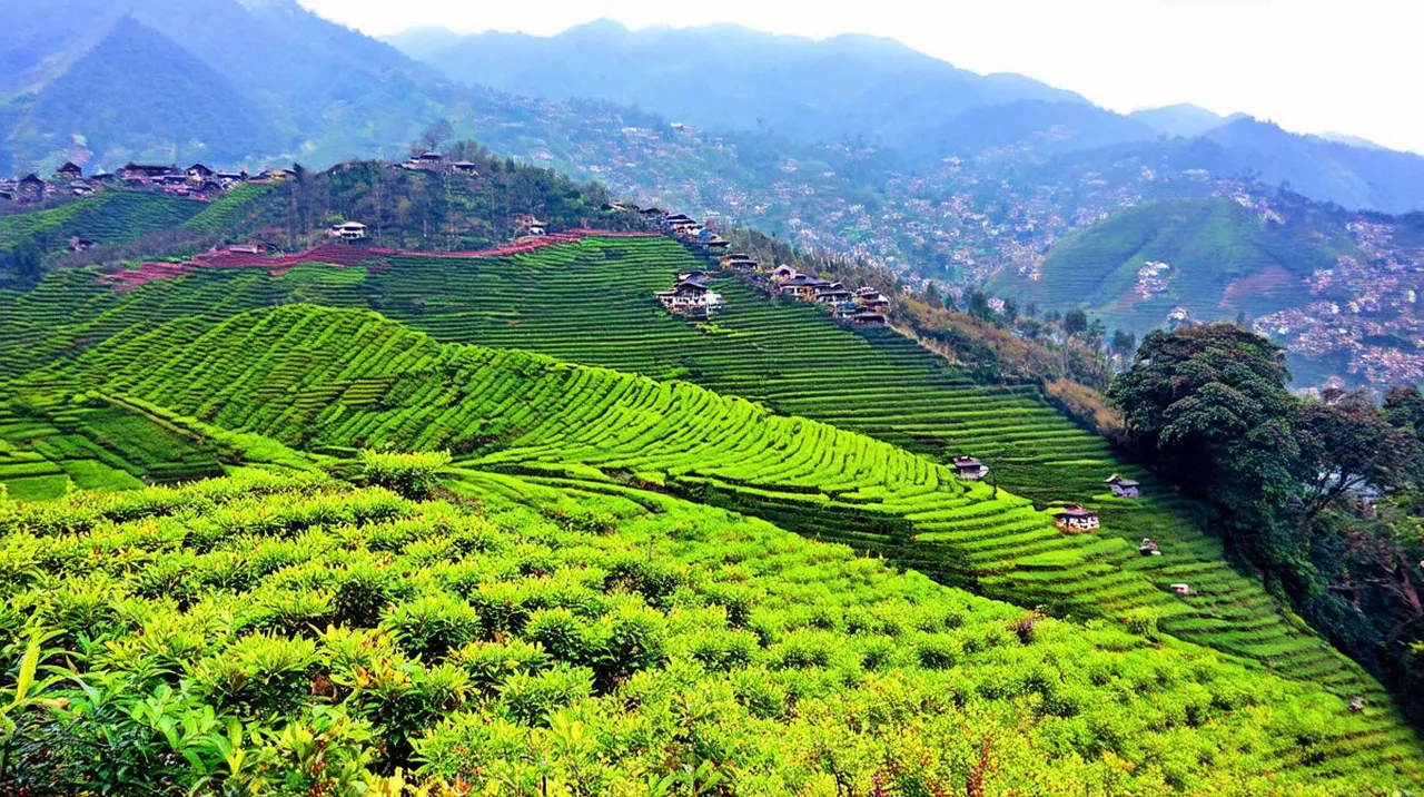 Darjeeling Highlights: 10 Must-See Attractions