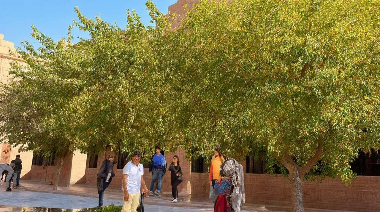 Dushanbe Experiences: 10 Unique Adventures Await