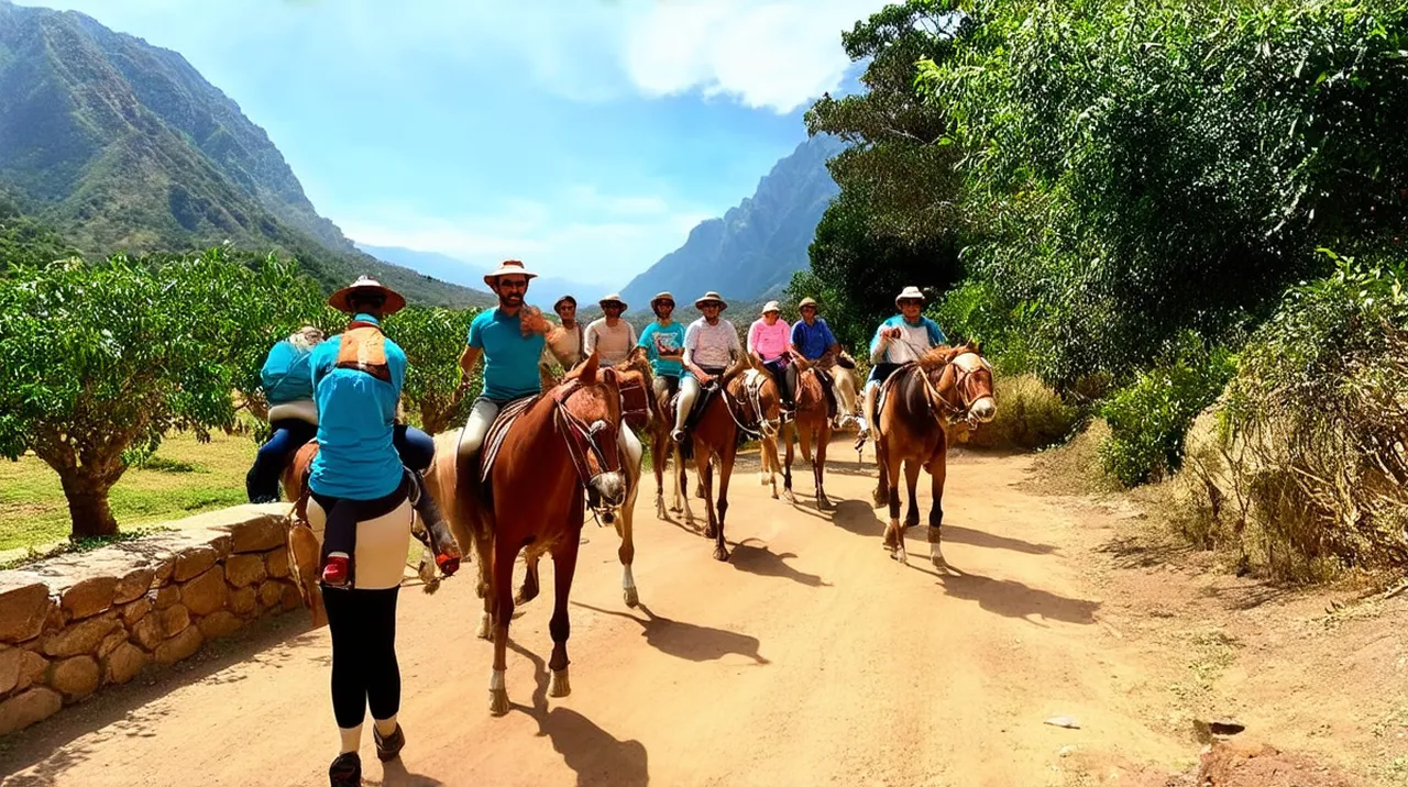 El Valle Activities: Top Experiences for Adventure Seekers