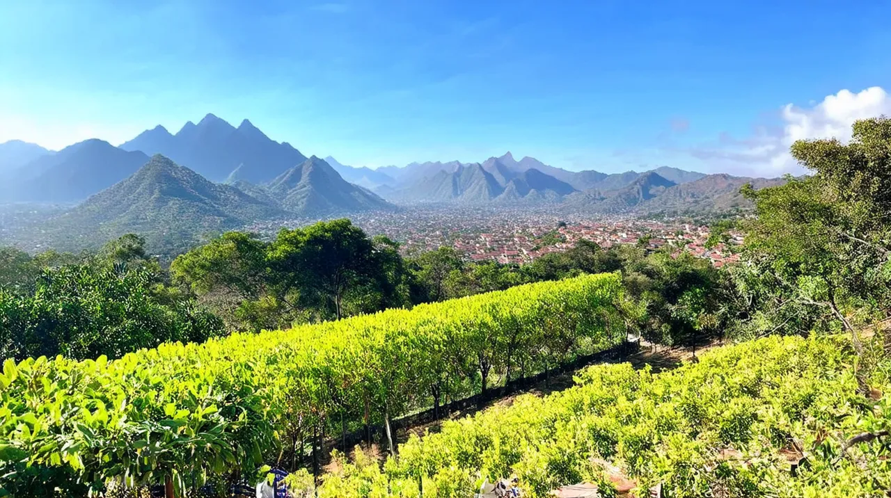 El Valle Highlights: Explore the Best Attractions and Activities