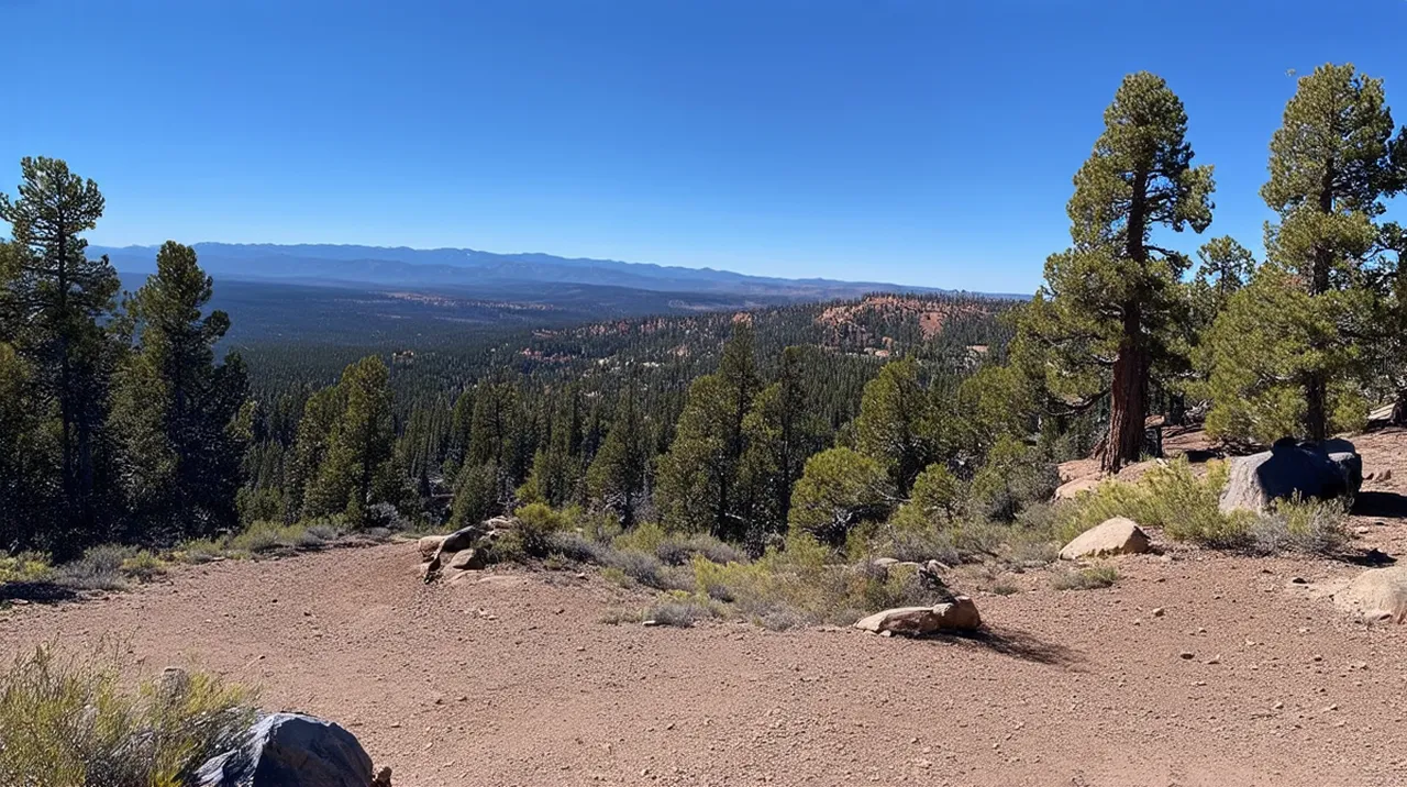 Flagstaff Activities: 10 Unforgettable Experiences to Try