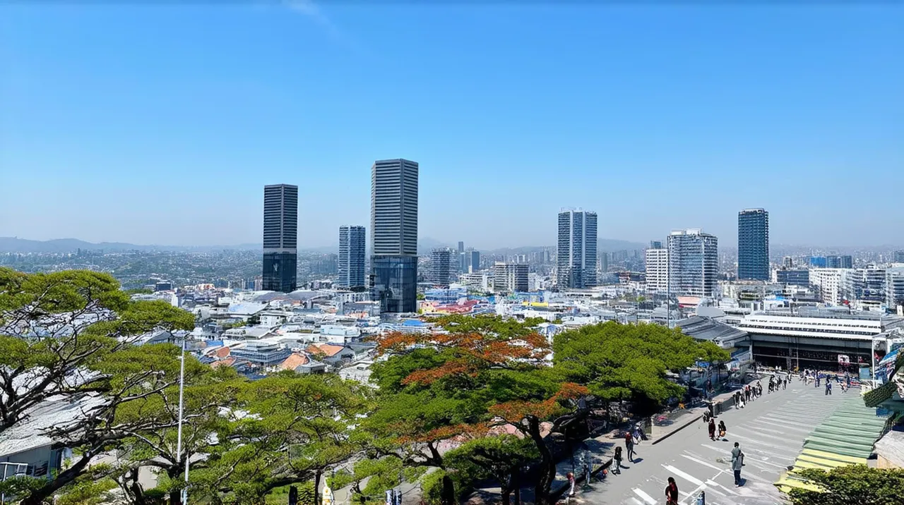 Fukuoka Activities: Top 10 Exciting Things to Do