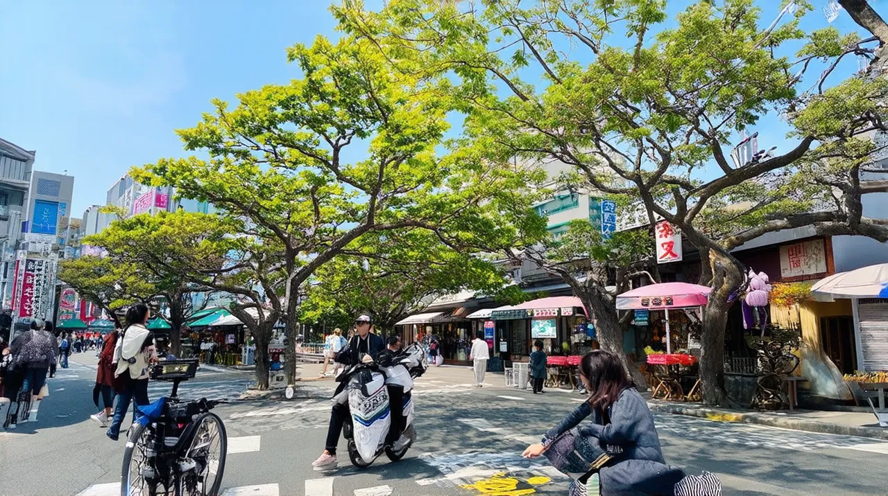 Fukuoka Adventures: 10 Unforgettable Experiences to Explore