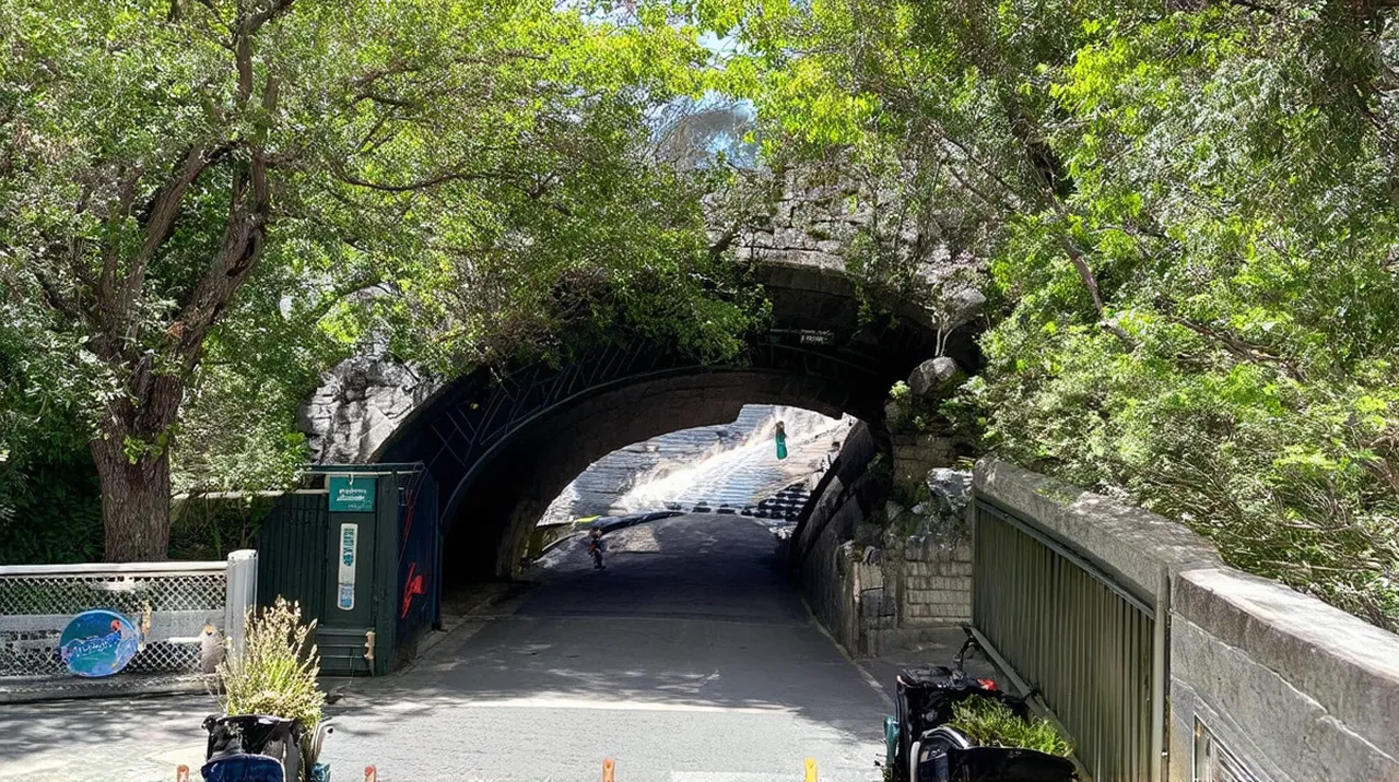 Georgetown Adventures: Explore 10 Unique Experiences