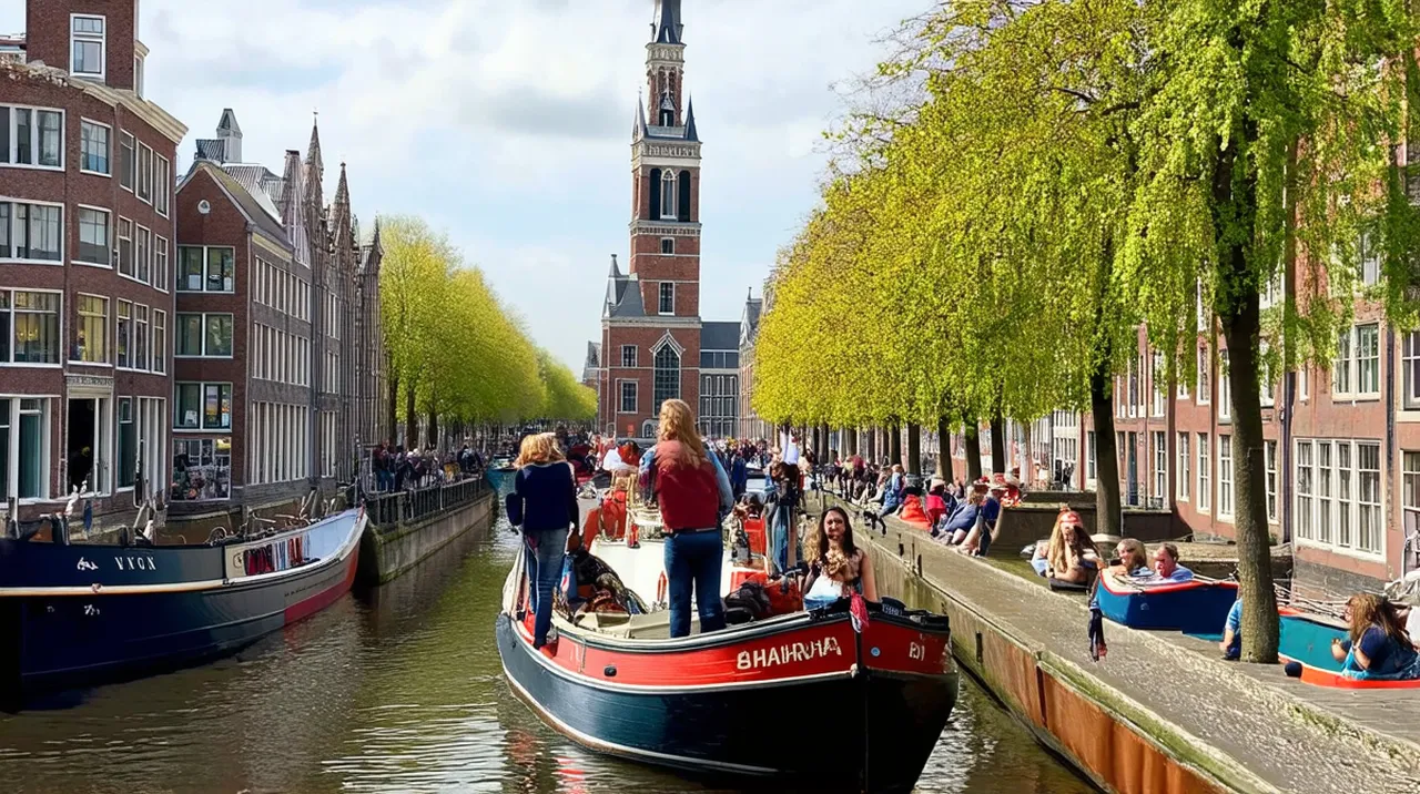 Haarlem Activities: Top 10 Experiences to Enjoy