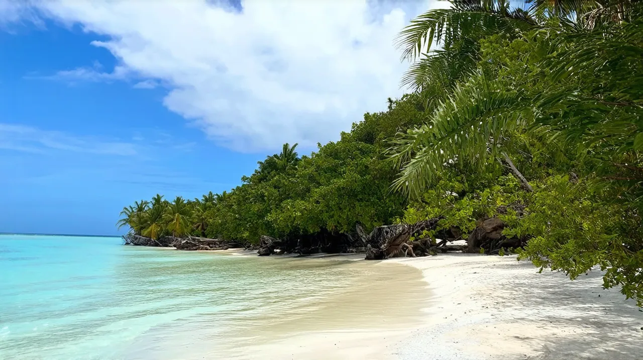 Isla Bastimentos Highlights: Top 10 Must-See Attractions