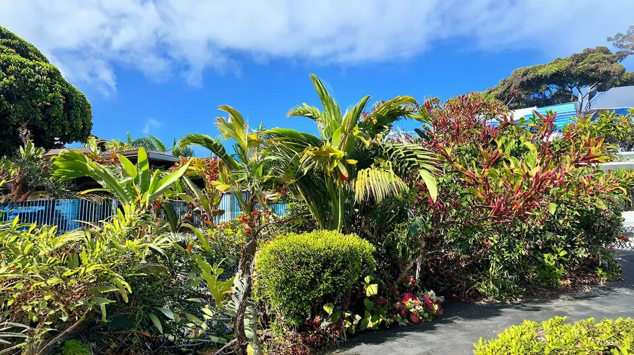 Kailua-Kona Highlights: 10 Unmissable Experiences