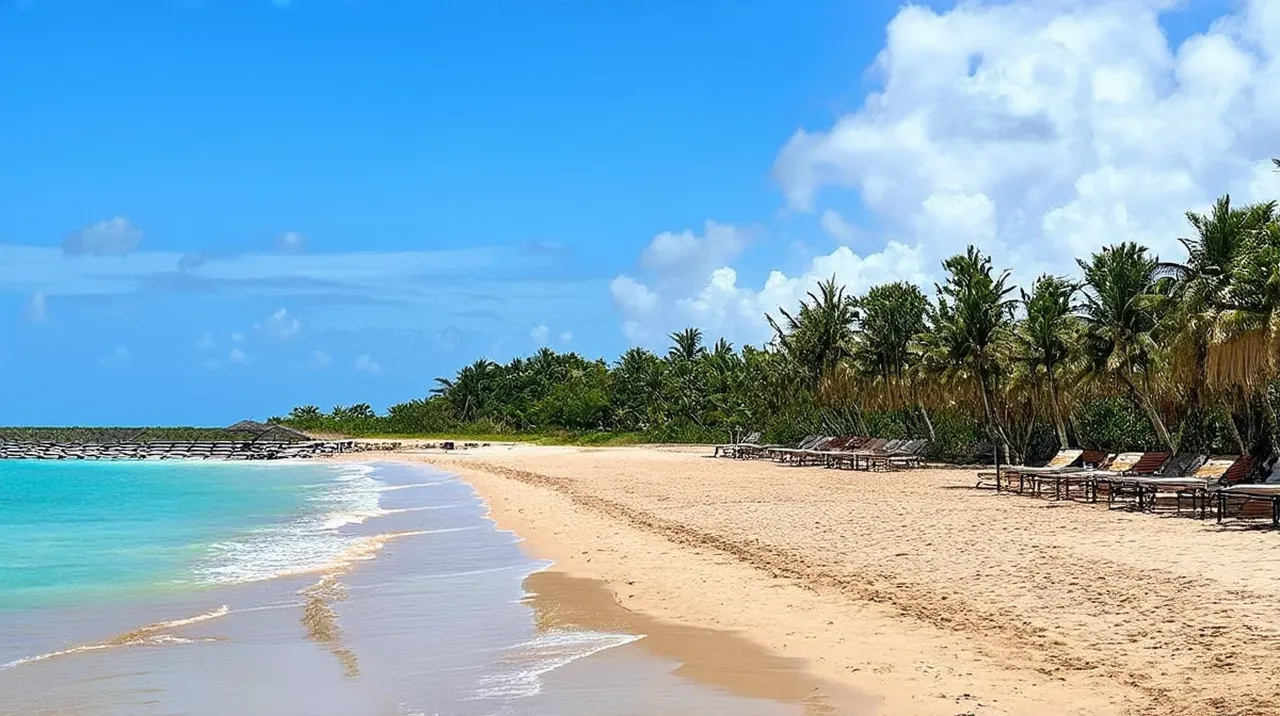 Kilifi Events: Your Ultimate Guide to Local Celebrations