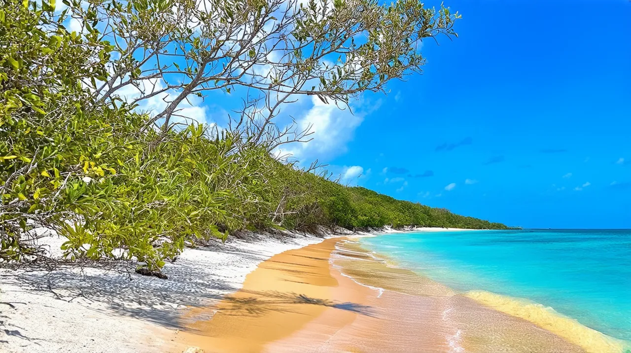 Kilifi Highlights: Your Ultimate Travel Guide